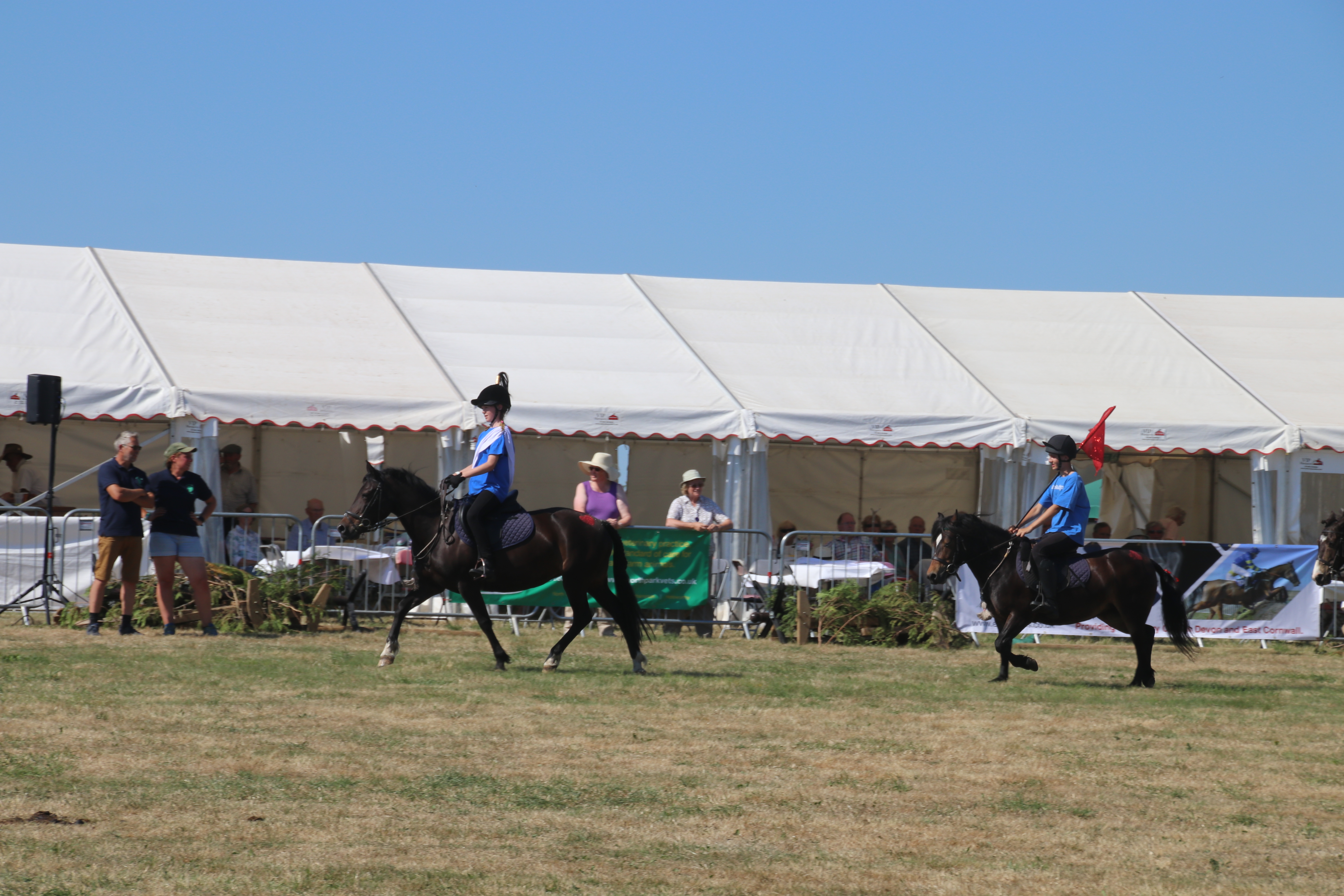 The Dartmoor Pony display team. AQ 8293