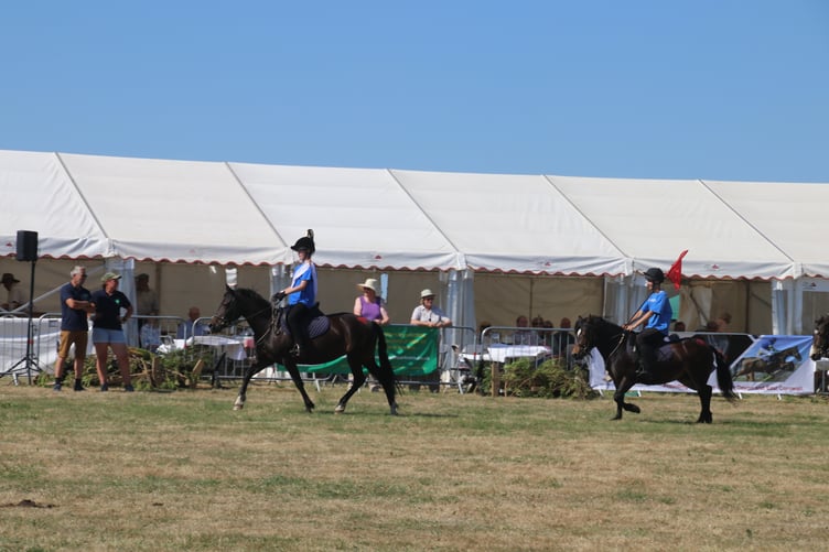 The Dartmoor Pony display team. AQ 8293