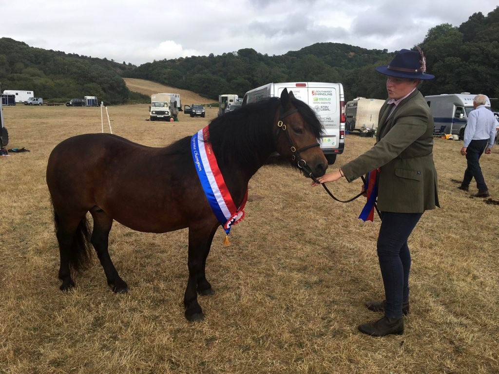 Charlotte Jordan with supreme champion horse Moortown Honeymoon