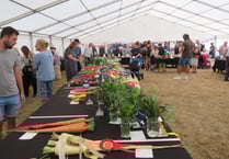 CHAGFORD SHOW: In pictures