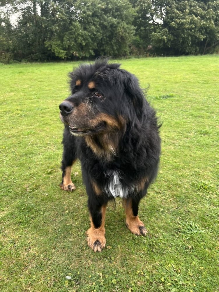 Leo