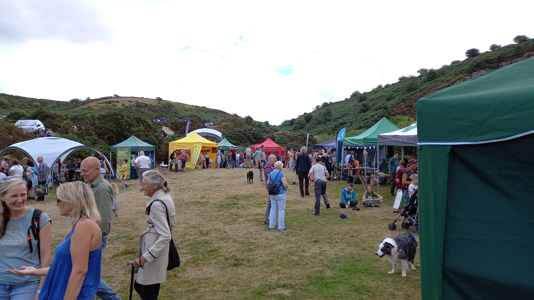 Record numbers get up close and personal with nature on Dartmoor at Meldon Wildlife Festival.