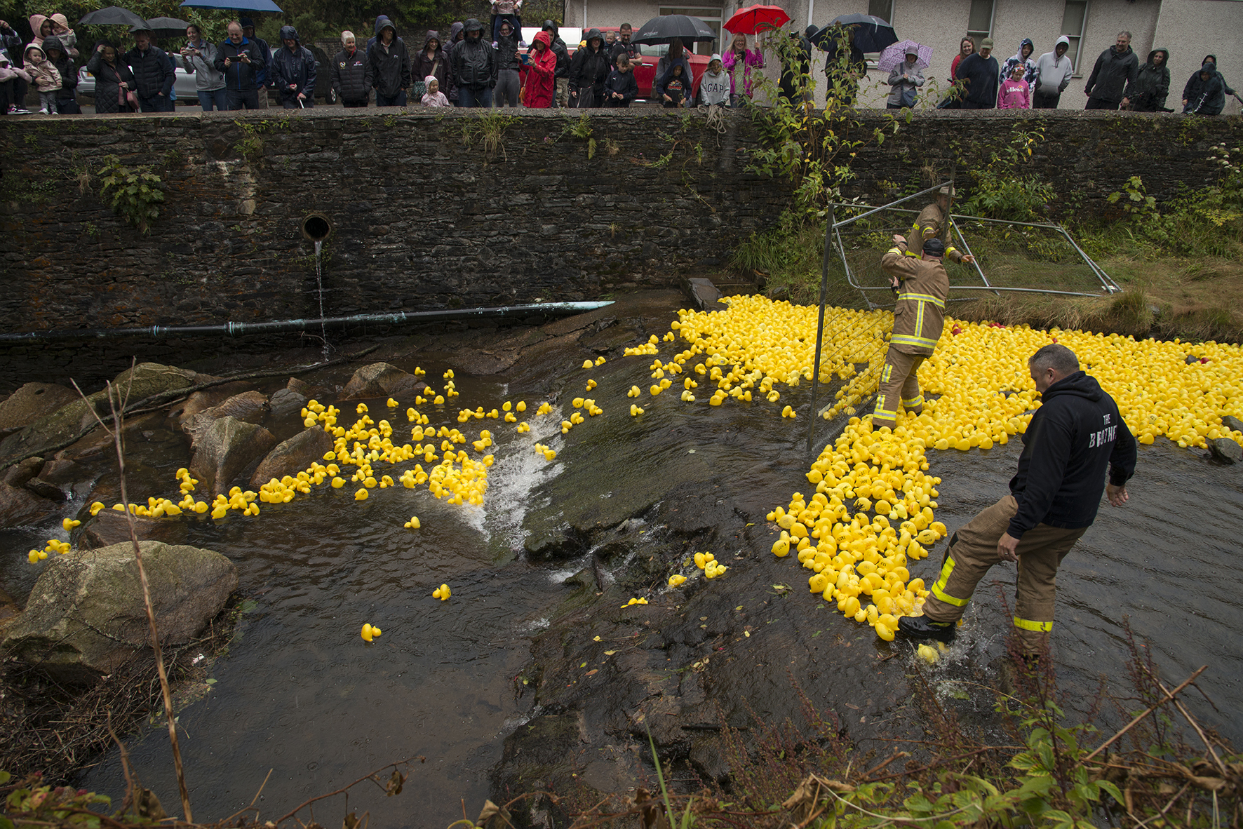 Laxey Duck Races 2022
