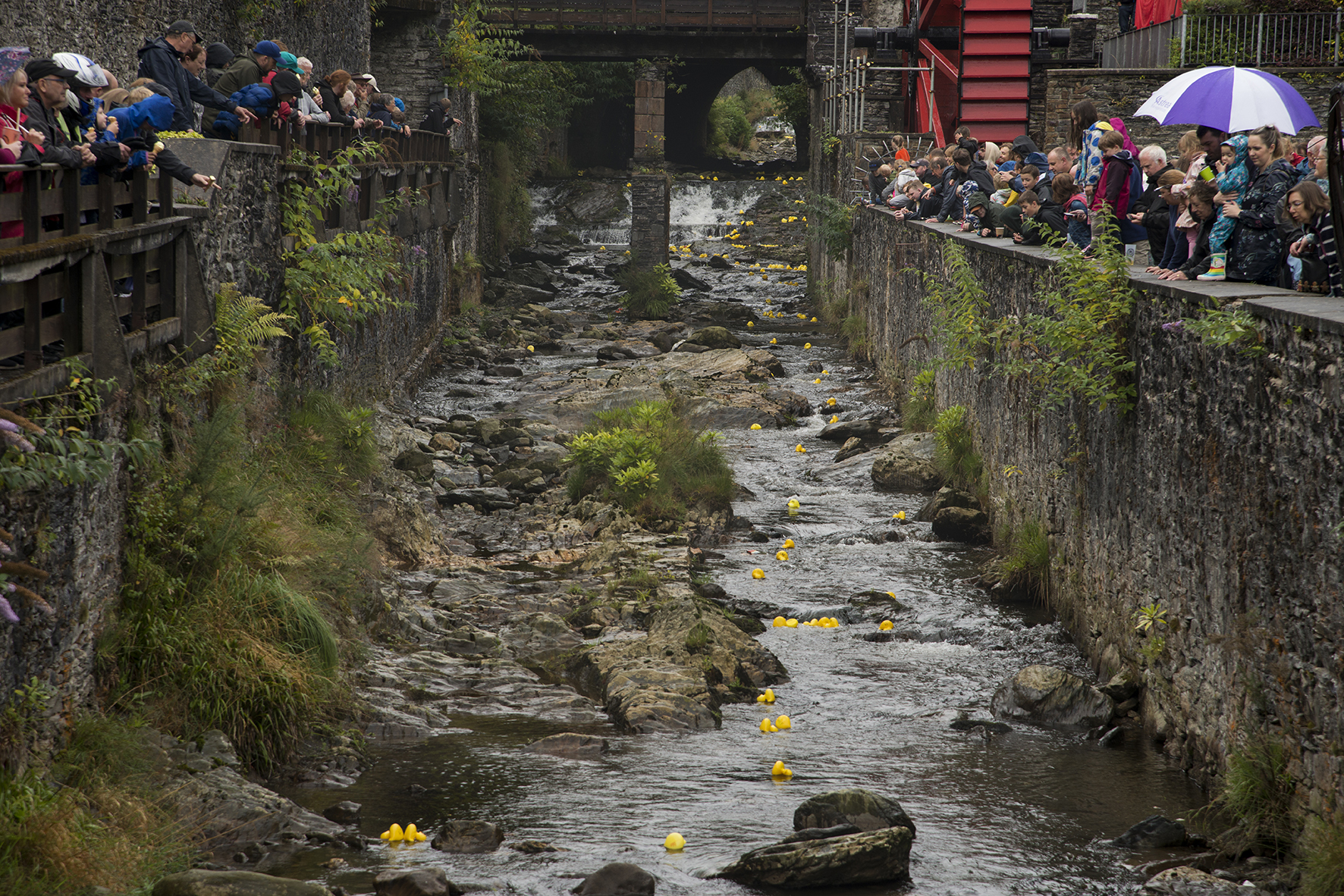 Laxey Duck Races 2022
