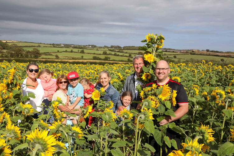 Broad Family at the Sunflower Field, Ballabeg. Photo by Callum Staley (CJS Photography).