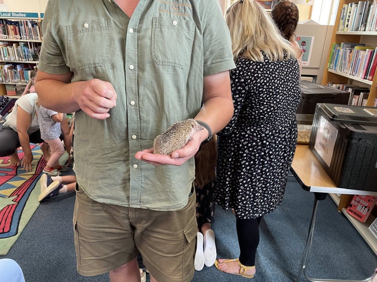 Animal encounters Tavi Library
