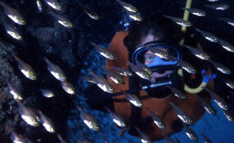 Underwater exploration of Racehorse