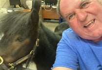 Patrick the Pony visits newspaper offices