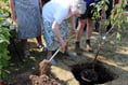 YFC tree plant to mark royal Jubilee