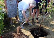 YFC tree plant to mark royal Jubilee