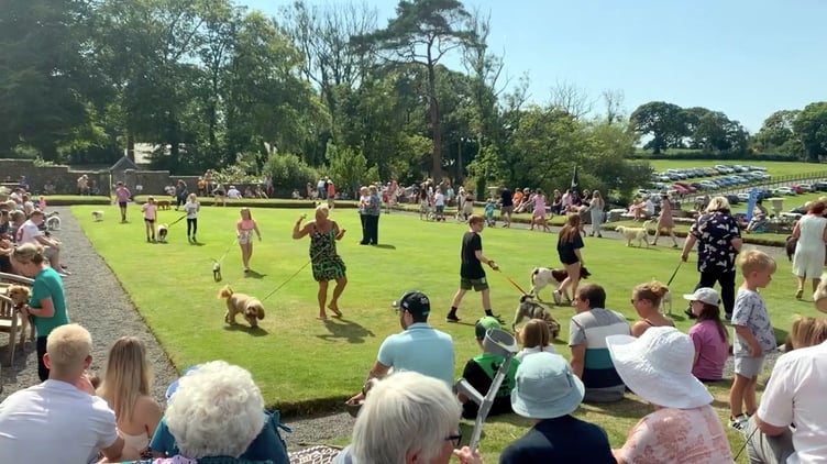 Cresselly Country House Fayre