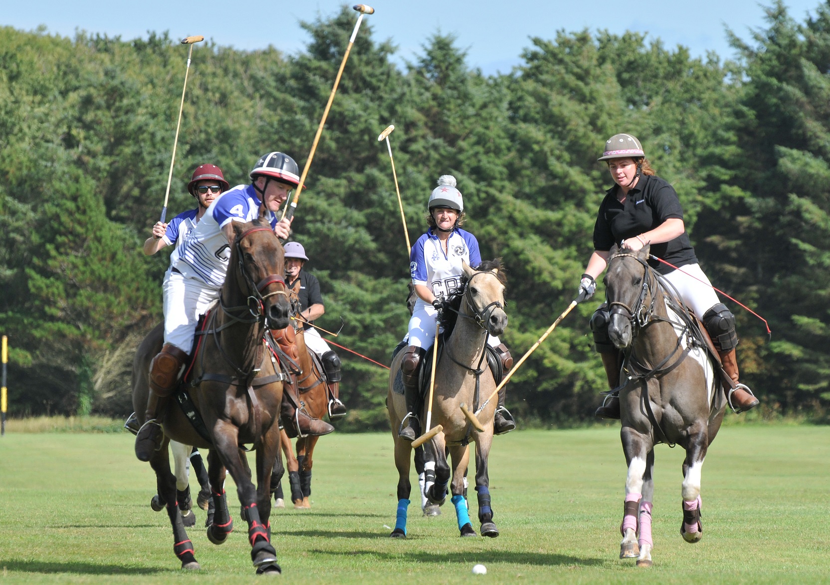 BITA Polo match