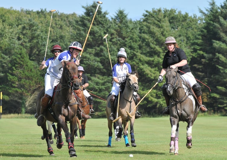 BITA Polo match