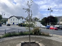 Police root out Fairplace Sensory Garden vandals