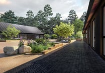 New vision for Haldon Forest Park revealed