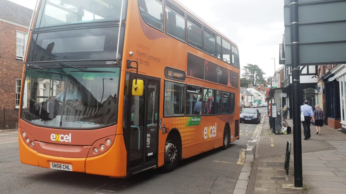 Brightly coloured buses brighten up Wellington roads! wellington