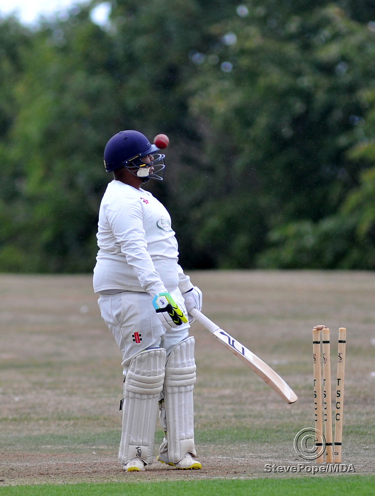 Photo: Steve Pope MDA030922E_SP004 Tolchards Devon Cricket League C Division (West). Teignmouth and Shaldon versus Yelverton Bohemians. Yelverton's Jonathan Malan falls to the bowling of Ruben Minnaar