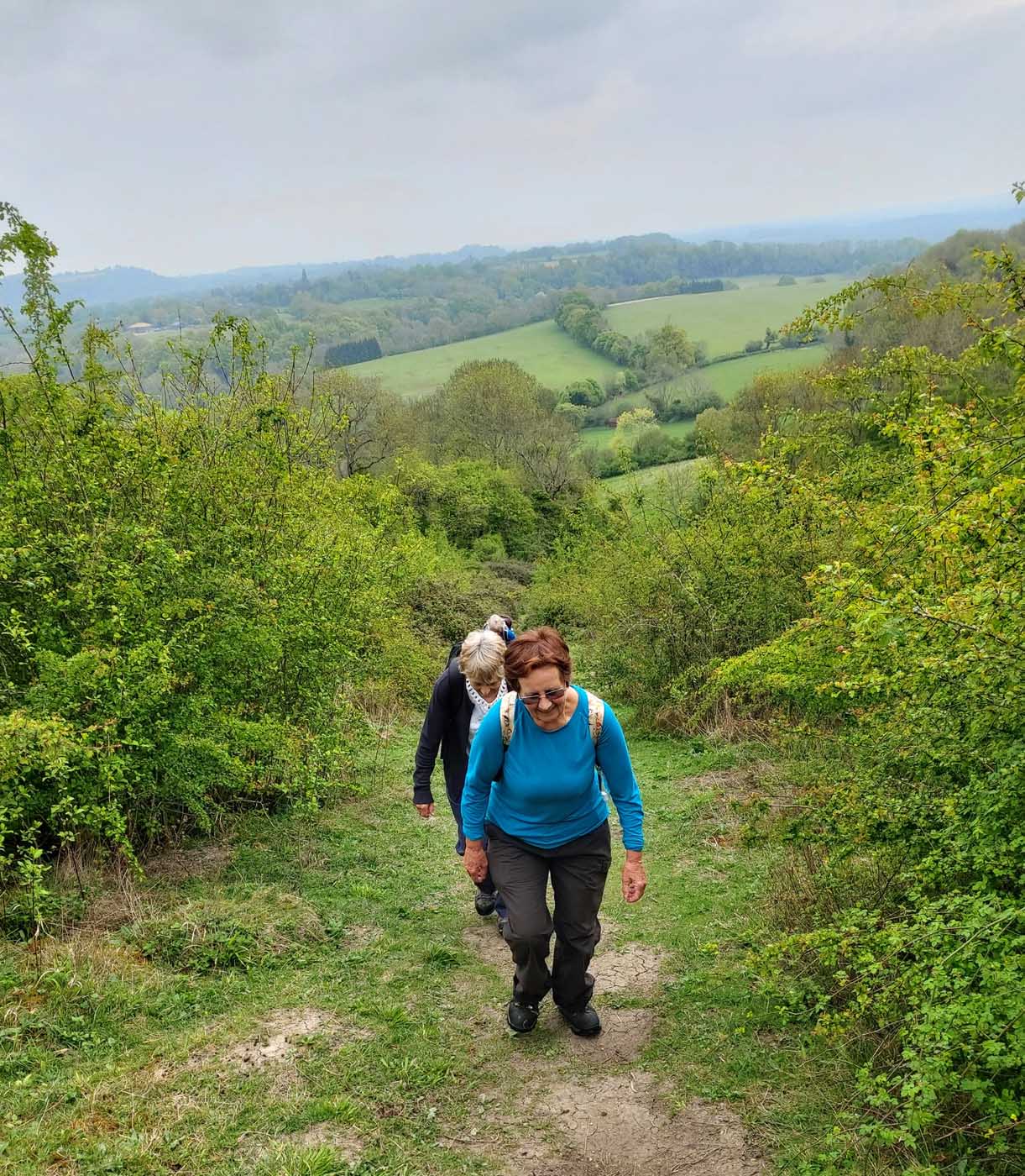 A two-day ramble on Hangers Way – with Petersfield Ramblers