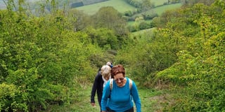 A two-day ramble on Hangers Way – with Petersfield Ramblers