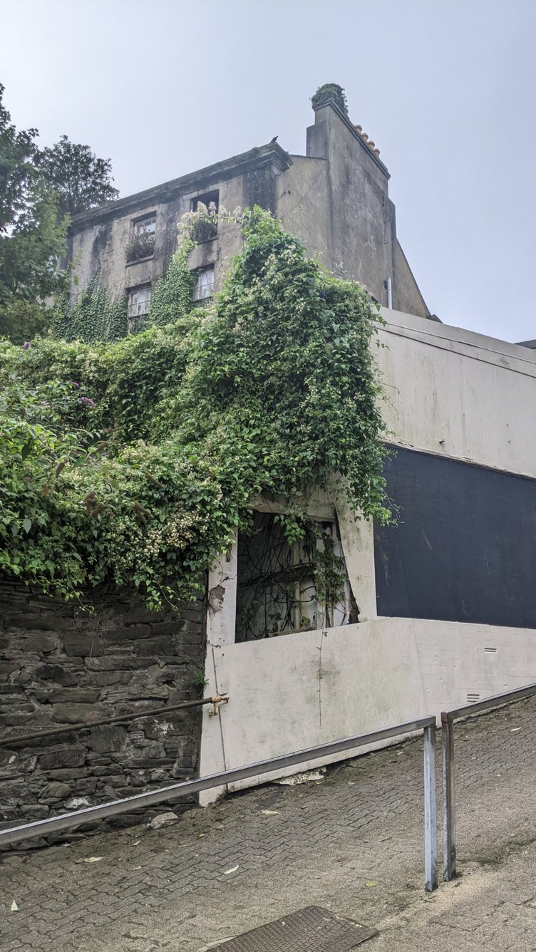Walls have become covered in Ivy, which can cause structural damage