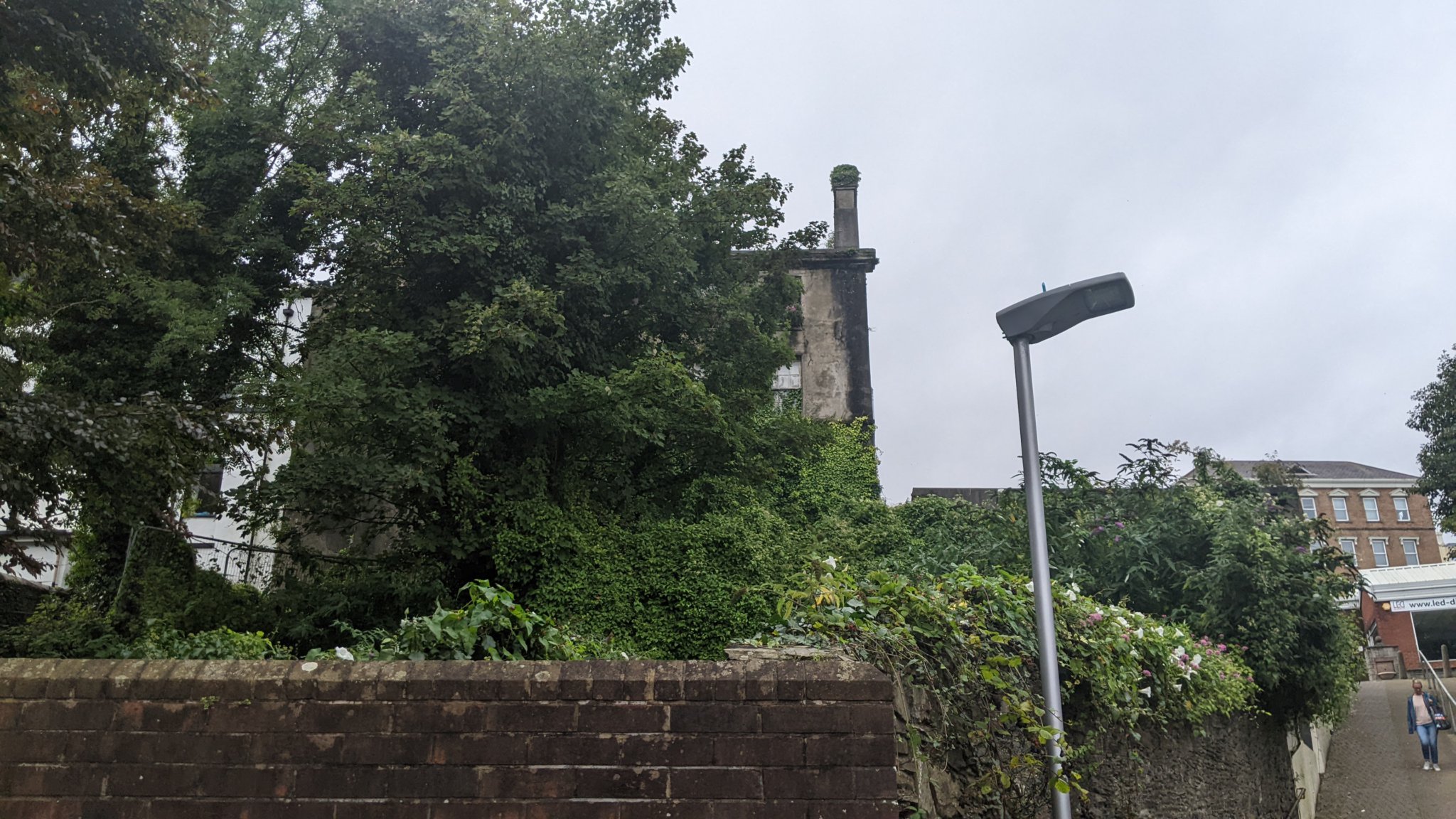 The buildings have become overgrown with ivy and plants