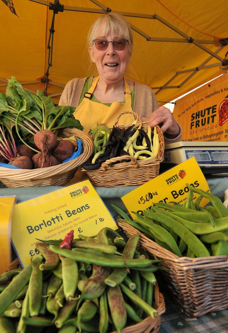 Photo: Steve Pope MDA100922A_SP006
Nourish Food Festival at Bovey Tracey. Lori Reich from Bishopsteignton-based Shute Fruit