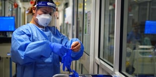 No more deaths recorded in Waverley