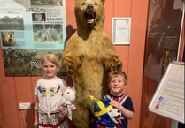 Teddy bears picnic held at Haslemere Museum
