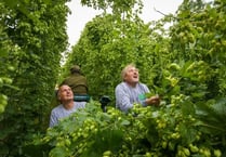 Hogs Back Brewery toasting 30 years in business