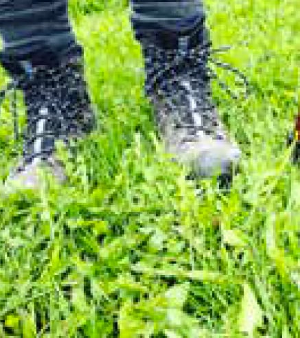 Walking boots on grass.