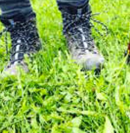 Walking boots on grass.