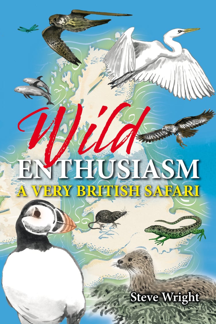 Wild Enthusisasm by Steve Wright