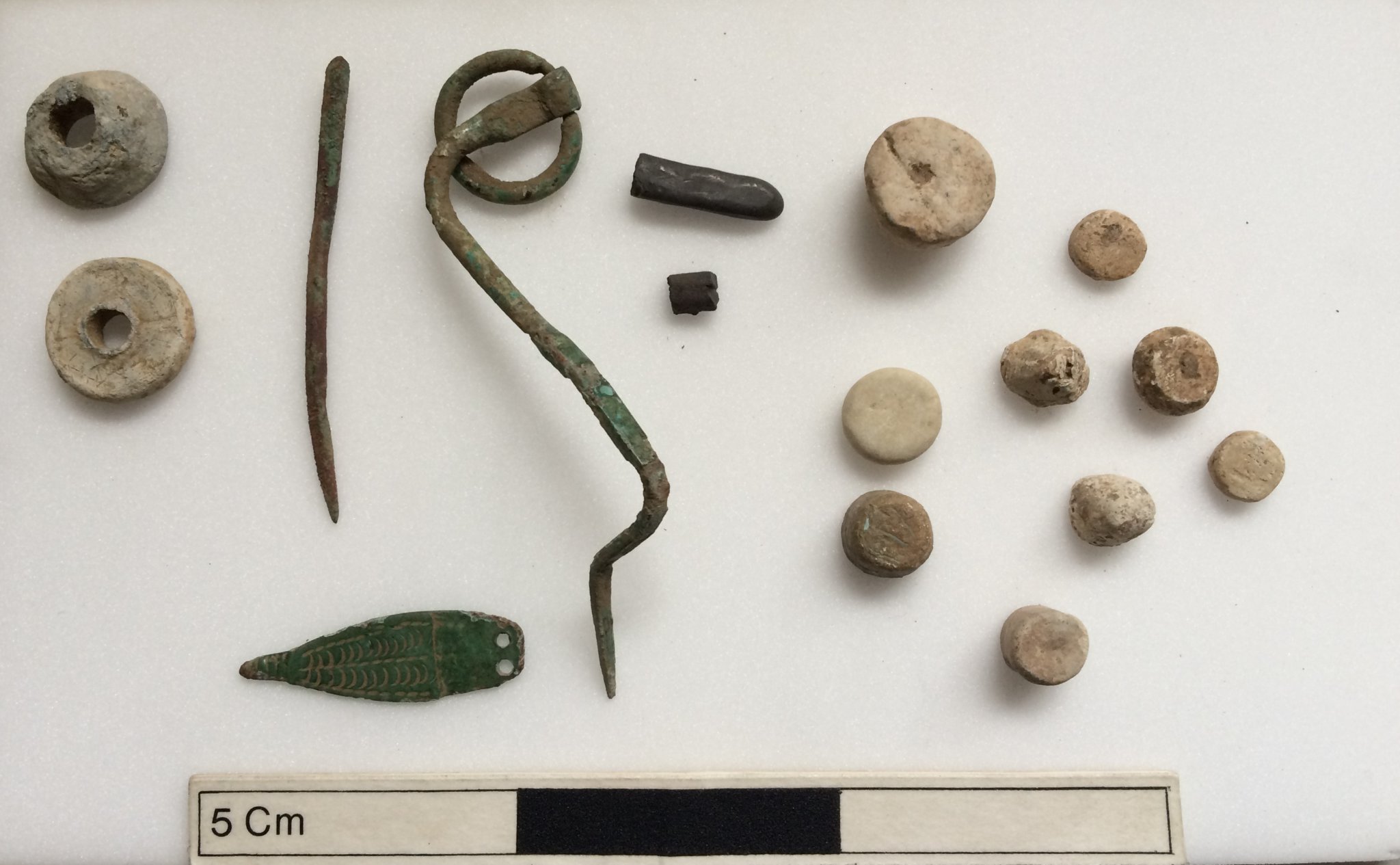 Viking Brooches on display in Lost and Found