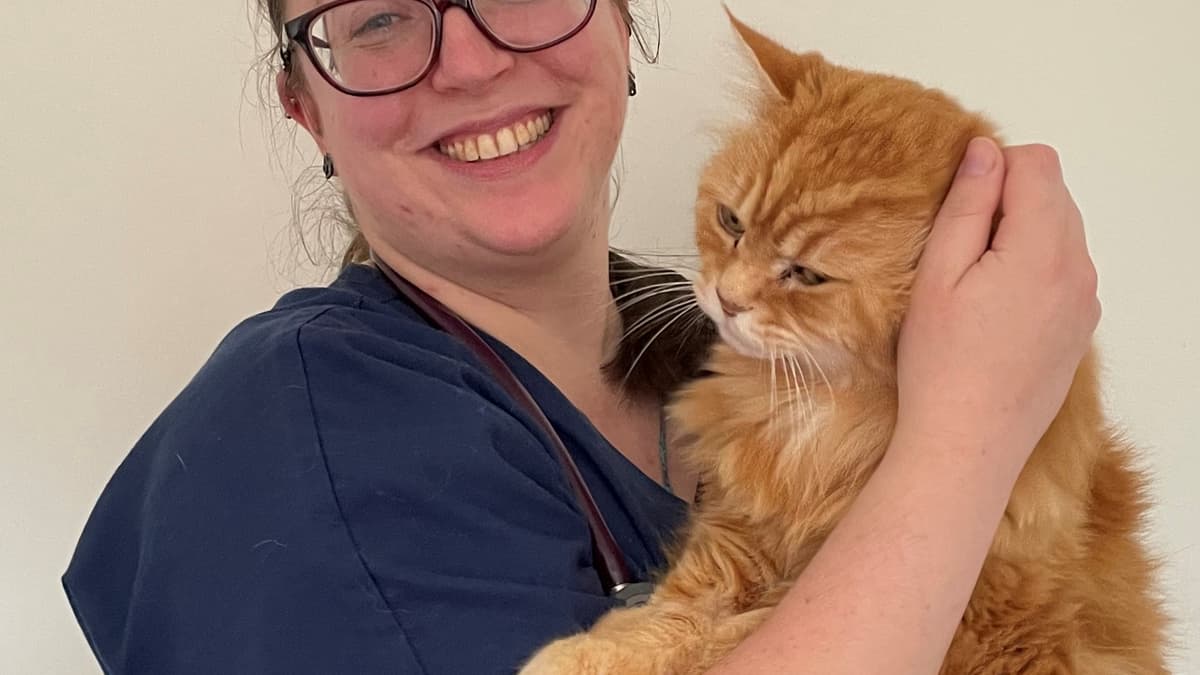 Farnham's Cathcart and Winn Veterinary Clinic recognised as cat
