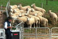 Innovation is in the air at farm open day