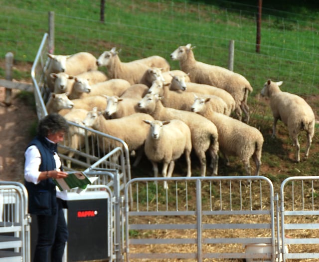Innovation is in the air at farm open day