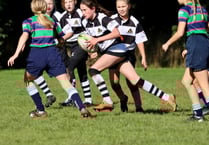 Busy weekend for Farnham Rugby Club as Falcons fly high