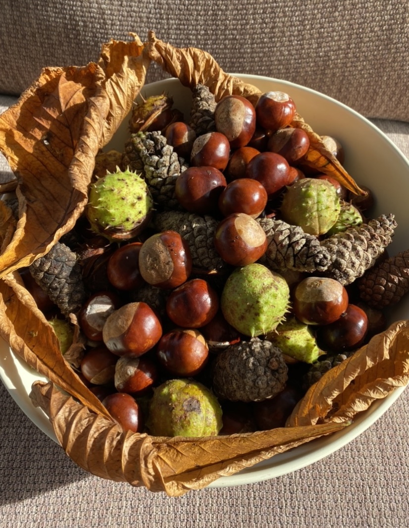 David Cretney with conkers