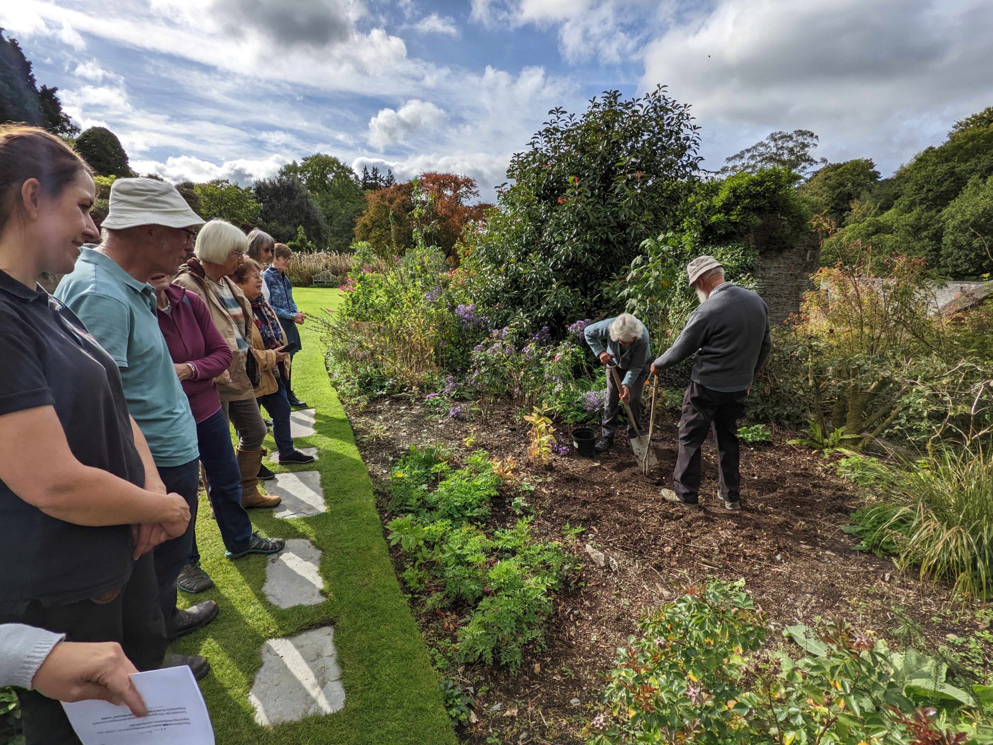 People watch as Jenny and David Mills plant the tree in memory of the Queen. BELOW LEFT: This is how the Adams Laburnum will look in the future. Pictures by John Richmond.