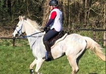 Disappointment for  Fiona as championships are postponed