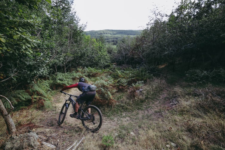 A group of volunteers at a womens’ trail dig and below, a rider takes to the trail on its opening day