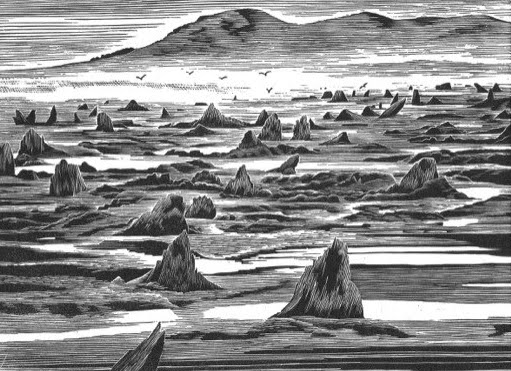 Lz Neal’s art will feature at Harlech