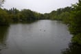 Save Kings Pond campaign founder backs dredging option