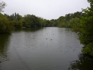 Alton town councillor apologises for using foul language to resident