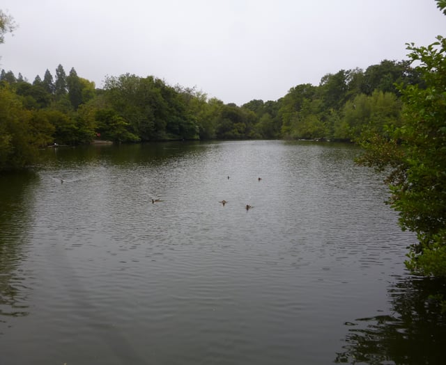Alton town councillor apologises for using foul language to resident