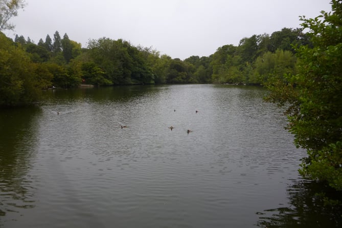 Kings Pond in Alton on August 23rd 2022.