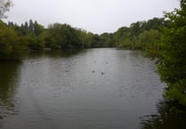Labour promises to protect Kings Pond in Alton