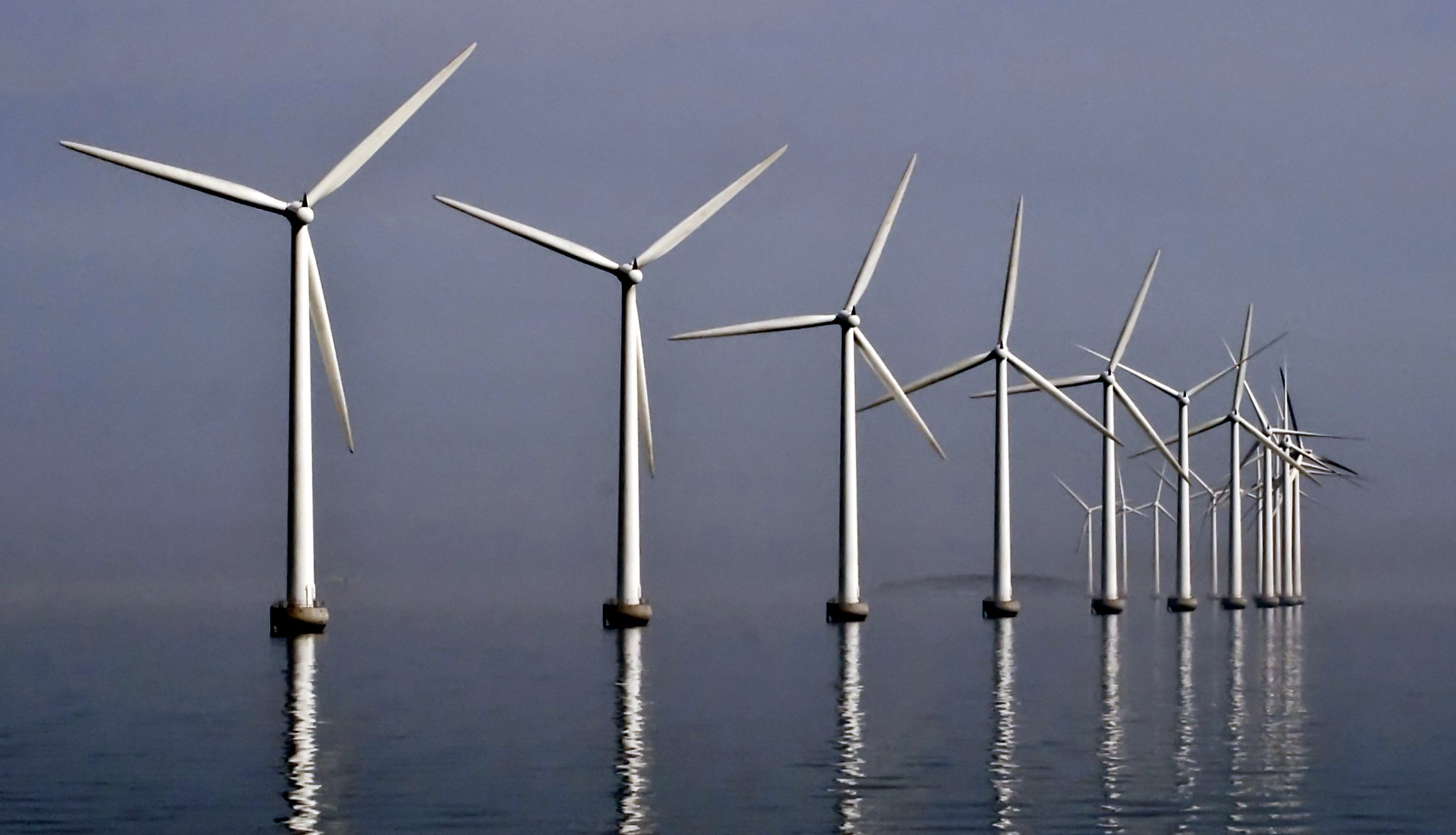 Windfarm