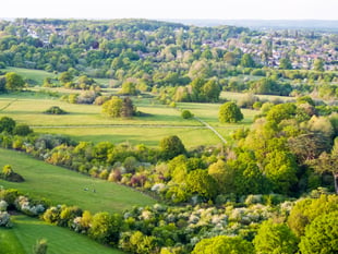 Views wanted on anti-social behaviour in Waverley's parks