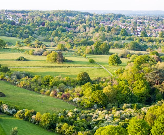 Views wanted on anti-social behaviour in Waverley's parks